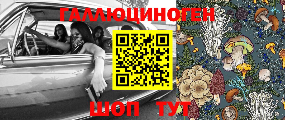 Костомукша  Псилоцибиновые грибы ЛСД  купить  сайты  Вход с VPN 